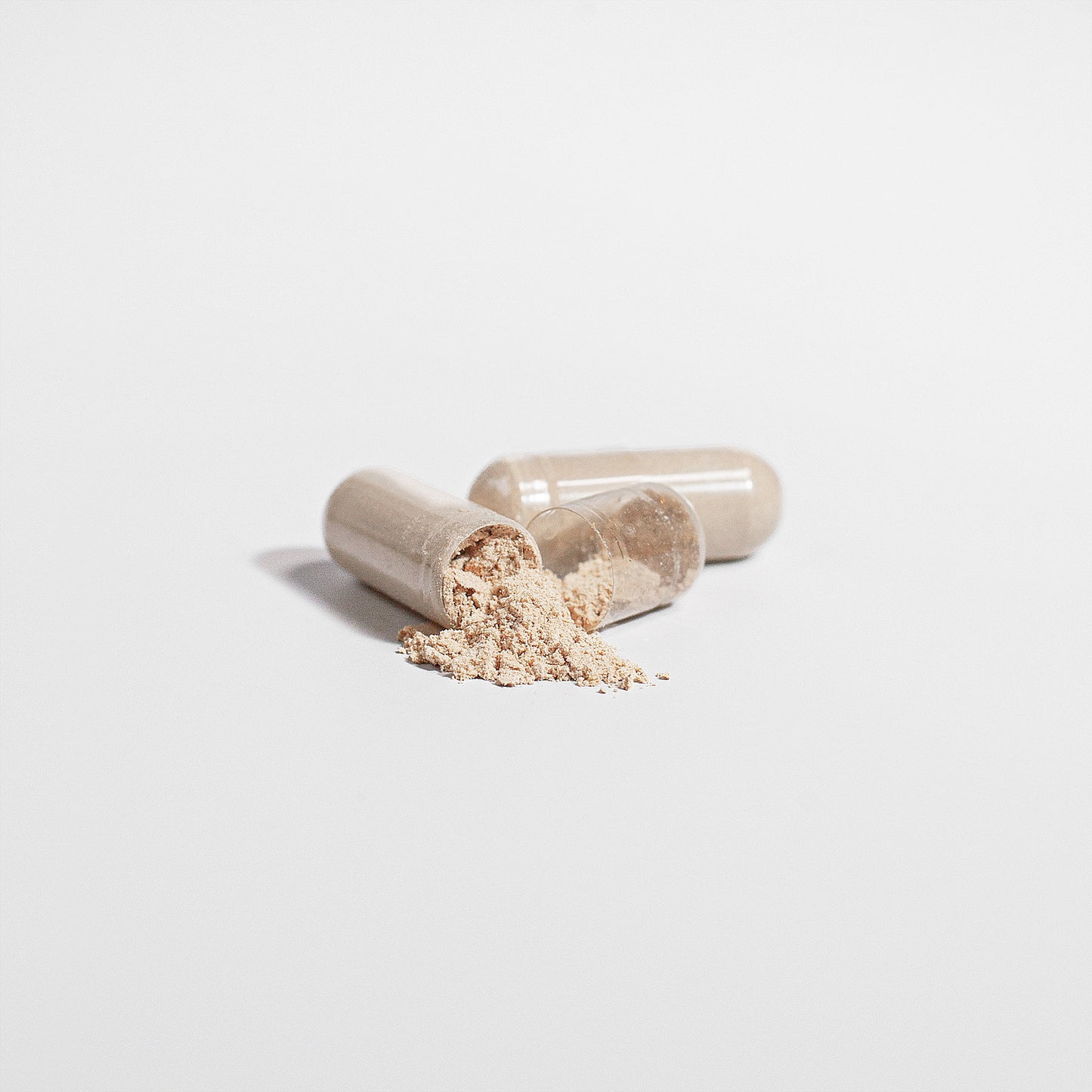 Best Chaga Mushroom Supplement